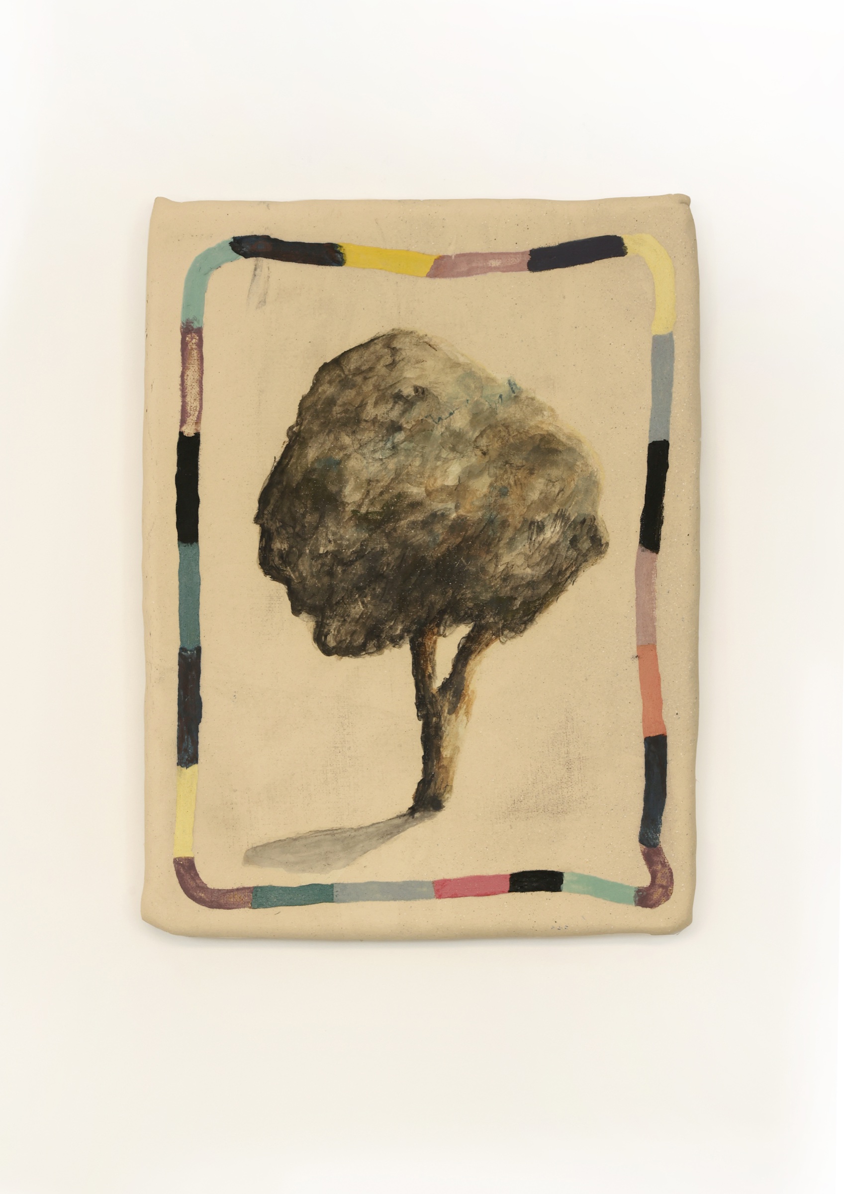 Pinus sylvestris ludica, obra de Ana Cano Brookbank